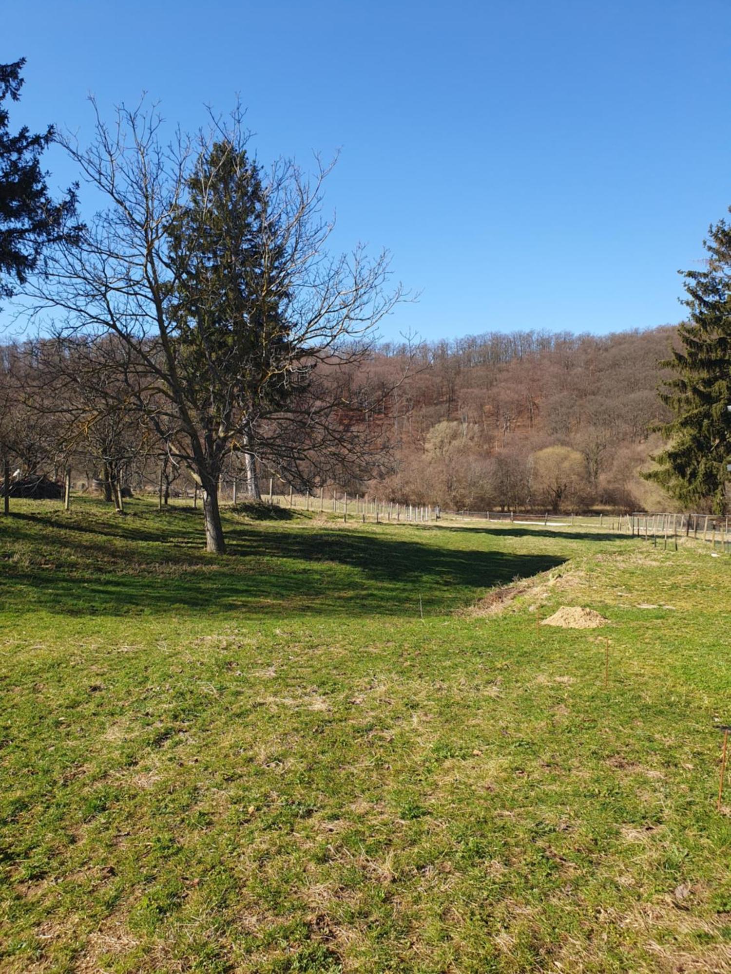 Goforest - 150y Old Vintage Balaton - Max 6 Person * Varvolgy