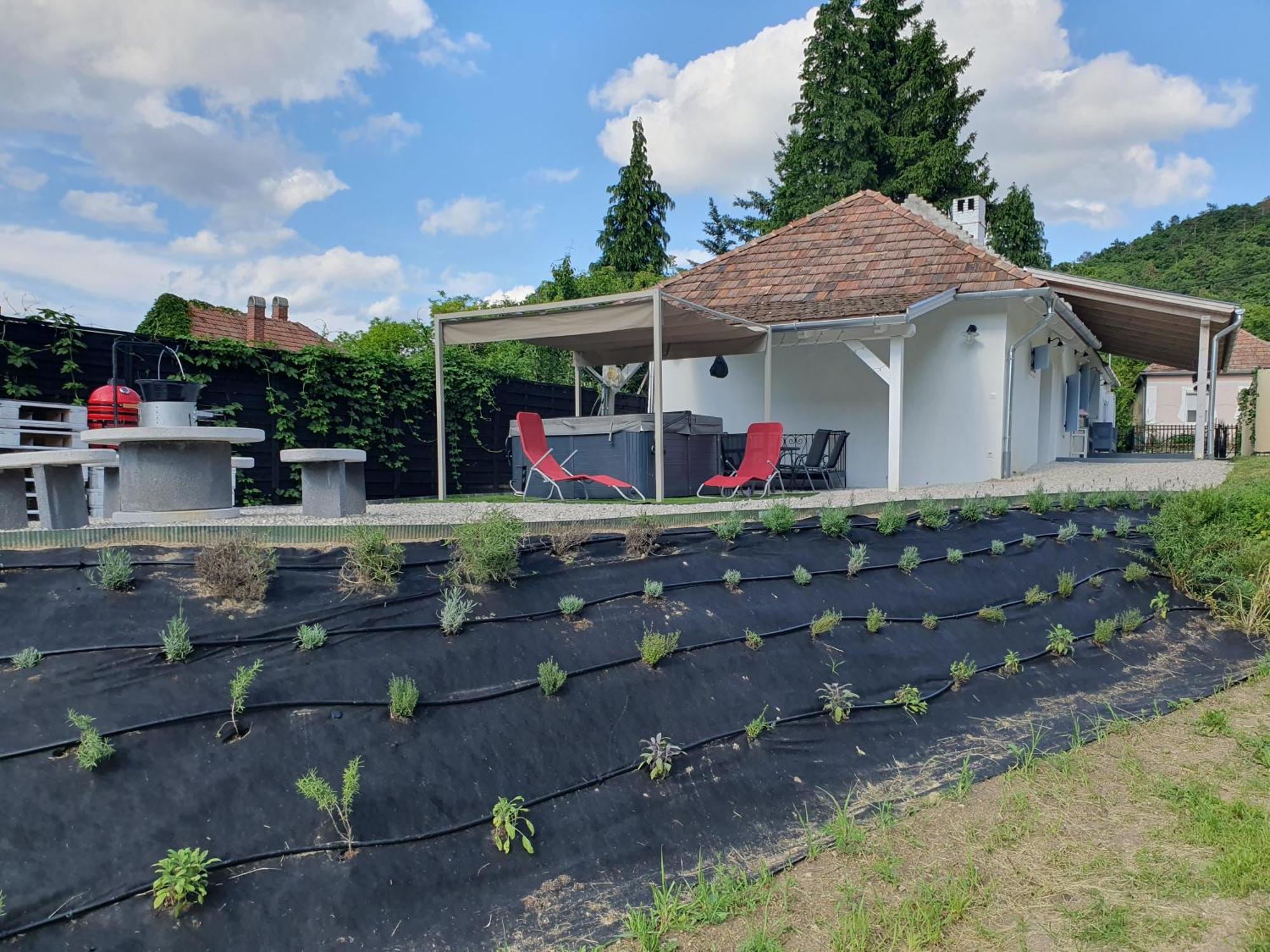 Apartamento Goforest - 150y Old Vintage Balaton - Max 6 Person