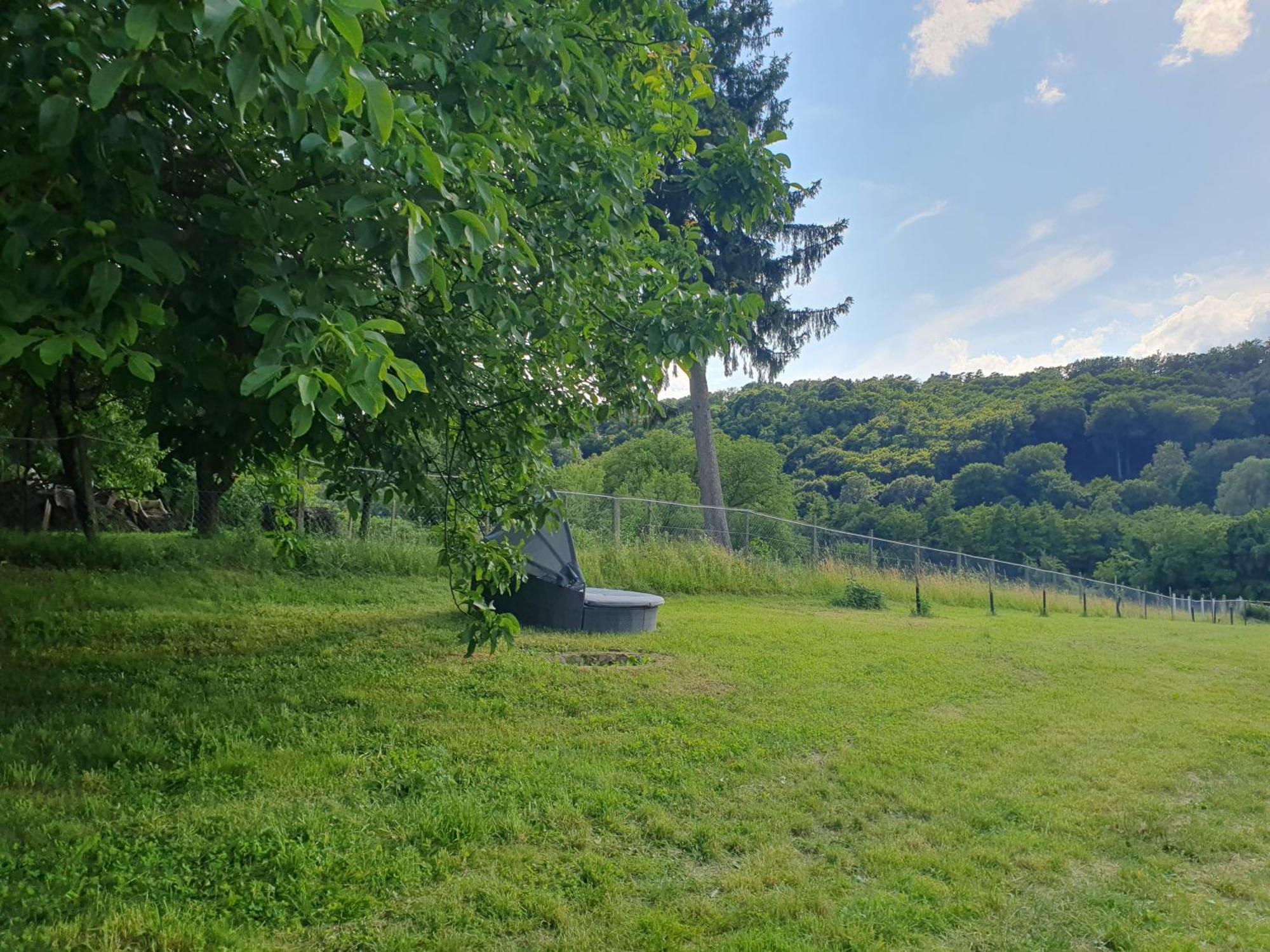 Goforest - 150y Old Vintage Balaton - Max 6 Person Varvolgy